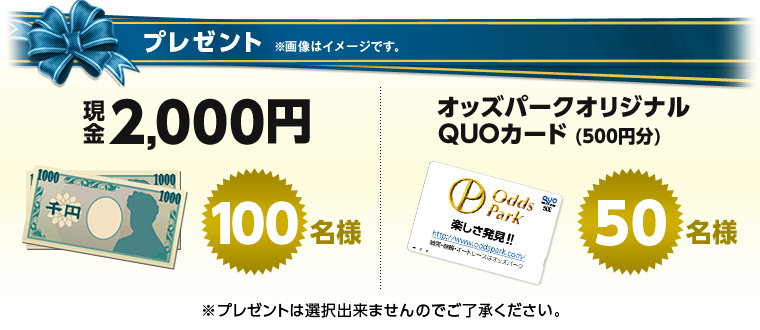 v[g@摜̓C[WłB@2,000~@100l@IbYp[NIWiQUOJ[hi500~j@50l@v[g͑Ił܂̂łB