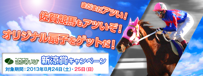 ꋣn@V܃Ly[@܂܂AcIꋣnAcIIWiqQbgI@ΏۊԁF2013N824iyj`25ij