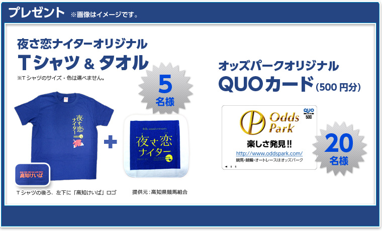 v[g@摜̓C[WłB@邳iC^[IWiTVc&^I@5li񋟌FmngjAIbYp[NIWiQUOJ[hi500~j@20l@v[g͑Ił܂̂ŁAB