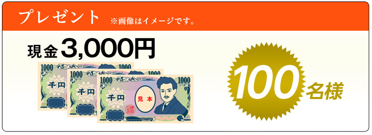 v[gF3,000~100l摜̓C[WłB