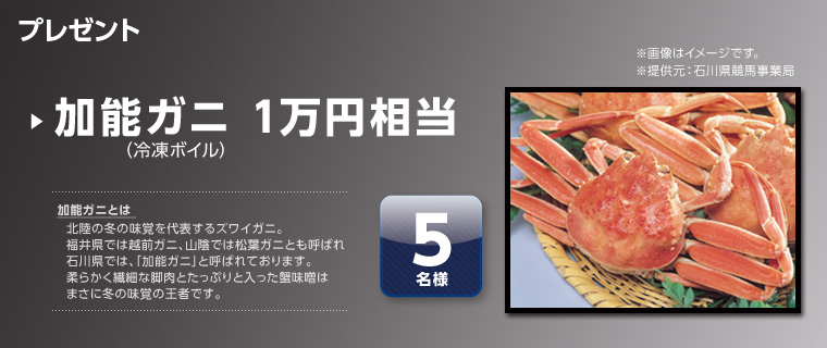 v[g@摜̓C[WłB@\KjiⓀ{Cj1~@5l@񋟌Fΐ쌧nƋǁ@\KjƂ́H@k̓~̖o\YCKjB䌧ł͉zOKjARAł͏tKjƂĂ΂ΐ쌧ł́Au\KjvƌĂ΂Ă܂B_炩@ׂȋrƂՂƓIX͂܂ɓ~̖ỏ҂łB