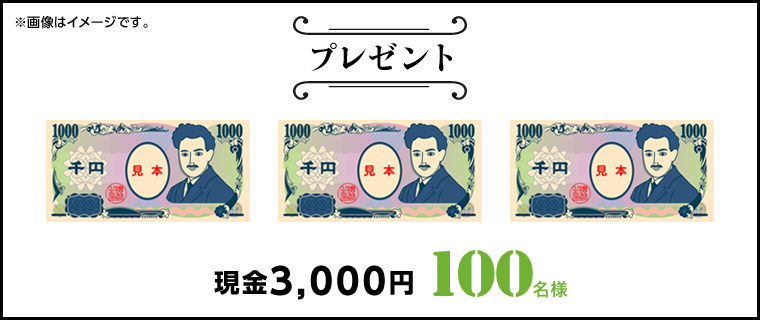 摜̓C[WłB@v[g@3,000~@100l
