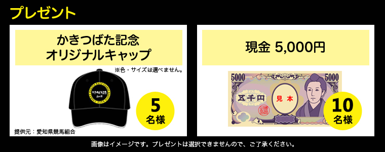 v[g@΂LOIWiLbv@5l@FETCY͑Iׂ܂B񋟌Fmng@5,000~@10l@摜̓C[WłBv[g͑Ił܂̂ŁAB