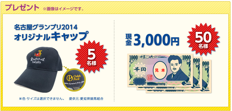 v[g@摜̓C[WłB@ÉOv2014IWiLbv@5li񋟌FmngjFETCY͑Ił܂B^3,000~@50l