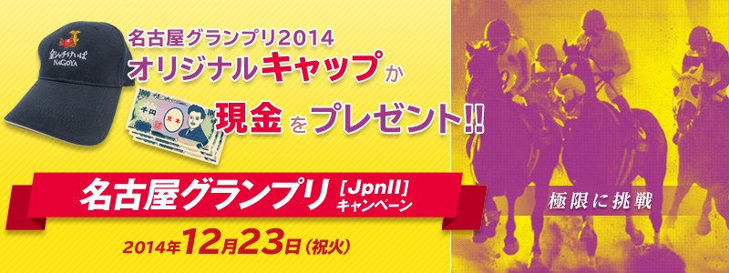 ÉOviJpnIIjLy[@Ɍɒ@ÉOv2014IWiLbvv[gI@Ώۓ:2014N1223ij΁j