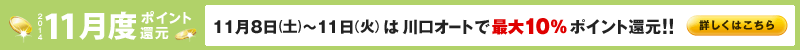 2014N11x|CgҌ!@118iyj`11i΁j͐I[gōő10%|CgҌII@ڂ͂