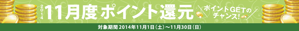 2014N11x|CgҌ@ΏۊԁF2014N111iyj`1130ij@|CgGET̃`XI