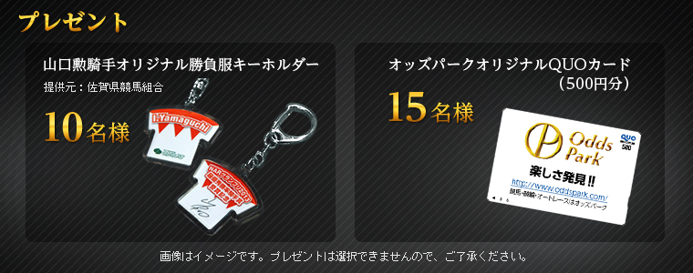 v[g@RMRIWiL[z_[i񋟌:ꌧngj 10l@IbYp[NIWiQUOJ[hi500~j 15l@摜̓C[WłBv[g͑Ił܂̂ŁAB