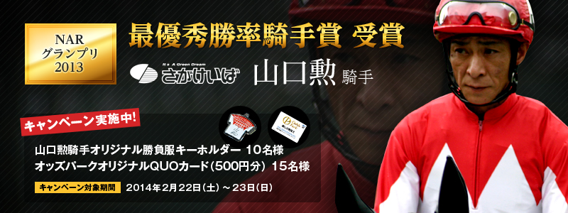 NAROv2013ŗDGR܎܁@ꋣn@RMR@Ly[{I@RMRIWiL[z_[ 10l@IbYp[NIWiQUOJ[hi500~j 15l@Ly[ΏۊԁF2014N222iyj`23ij