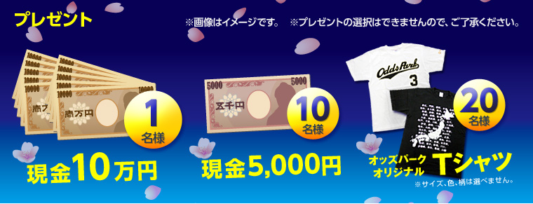 v[g@摜̓C[WłB@10~~1lA5,000~~10lAIbYp[NIWiTVc~20liTCYAFA͑Iׂ܂jv[g̑I͂ł܂̂ŁAB