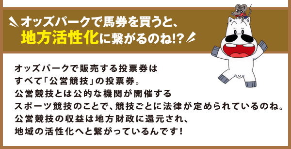 オッズパークで馬券を買うと、地方活性化に繋がるのね！？
オッズパークで販売する投票券はすべて「公営競技」の投票券。
公営競技とは公的な機関が開催するスポーツ競技のことで、
競技ごとに法律が定められているのね。
公営競技の収益は地方財政に還元され、
地域の活性化へと繋がっているんです！