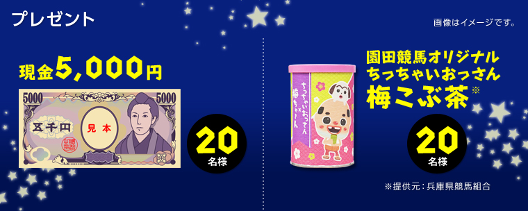 v[g@摜̓C[WłB@5,000~@20l@cnIWiႢ~Ԓ@20l	񋟌FɌng