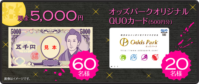 5,000~60l@IbYp[NIWiQUOJ[hi500~j20l@摜̓C[WłB