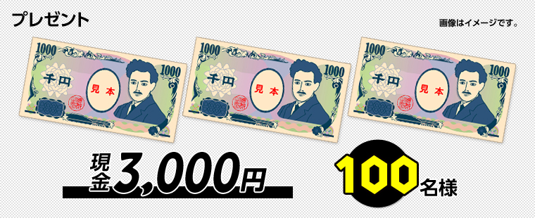 v[g@摜̓C[WłB@3,000~@100l
