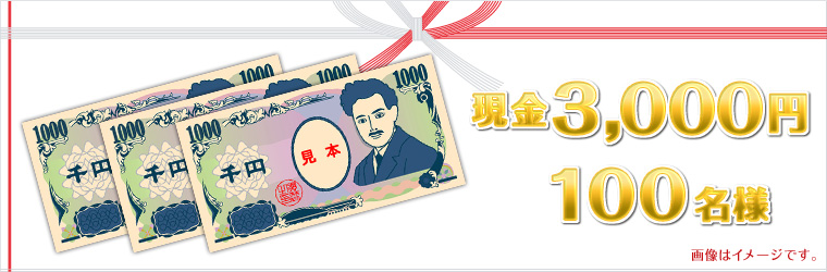 3,000~@100l@摜̓C[WłB