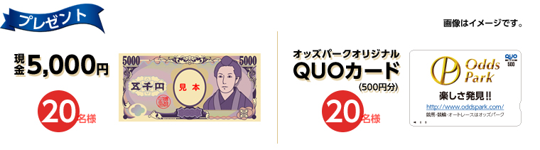 v[g@摜̓C[WłB@5,000~@20lAIbYp[NIWiQUOJ[h(500~)@20l
