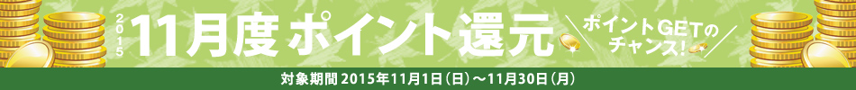 2015N11x|CgҌ@ΏۊԁF2015N111ij`1130ij@|CgGET̃`XI