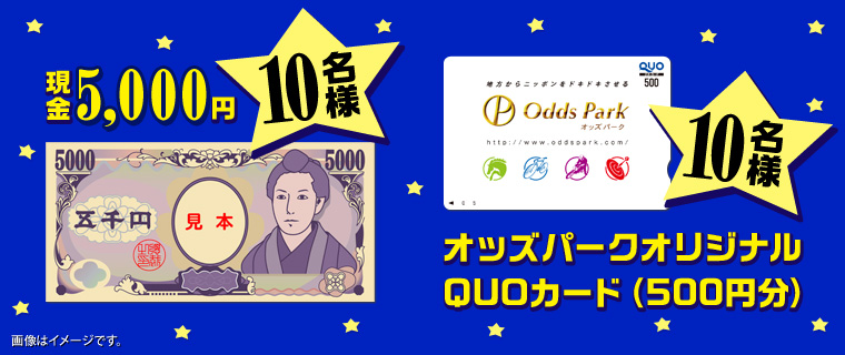 5,000~10l@IbYp[NIWiQUOJ[hi500~j10l@摜̓C[WłB
