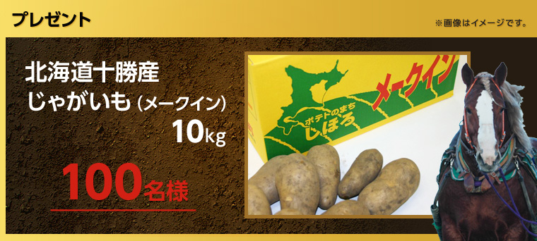 v[g @摜̓C[WłB@kC\YႪi[NCj10kg@100l
