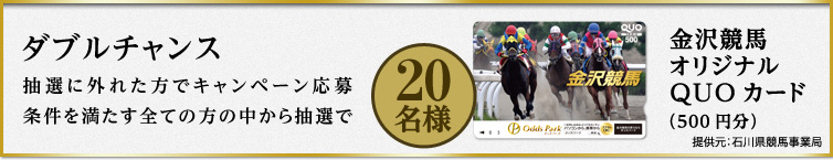 y_u`XzIɊOꂽŃLy[𖞂SĂ̒̕璊IŁw򋣔nIWiQUOJ[hi500~jx20l