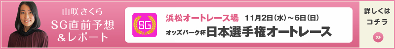 R炳SGO\z|[g@{I茠I[g[X@lI[g[X@112ij`116ij@ڂ̓R`