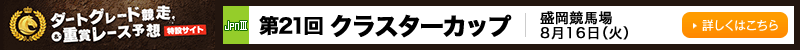 _[gO[hd܃[X\z݃TCg@21 NX^[JbviJpnIIIj@n@816i΁j@ڂ͂