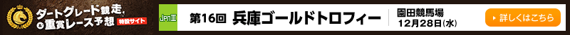 _[gO[hd܃[X\z݃TCg@16 ɃS[hgtB[@cn@1228ij@ڂ͂