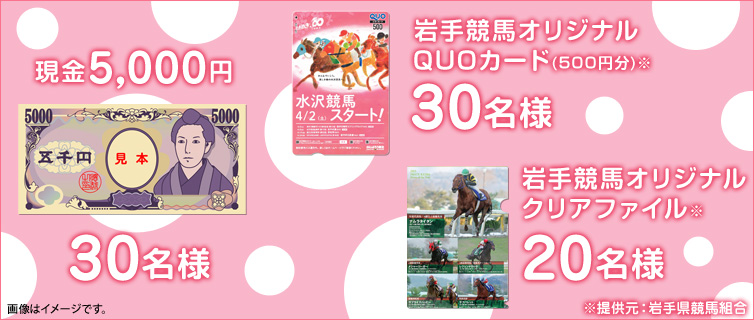 5,000~@30l@苣nIWiQUOJ[hi500~j@30l
苣nIWiNAt@C@20l@񋟌F茧ng@摜̓C[WłB