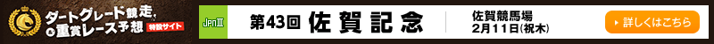 _[gO[hd܃[X\z݃TCg 43񍲉LOiJpnIIIj@ꋣn@211ij؁j@ڂ͂