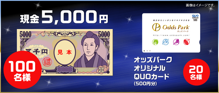 5,000~@100l@IbYp[NIWiQUOJ[hi500~j@20l@摜̓C[WłB