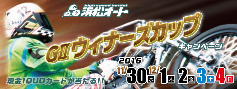 ylI[g[XzEBi[YJbv(GII)Ly[@2016N1130ij`124ij@!QUOJ[h!!@