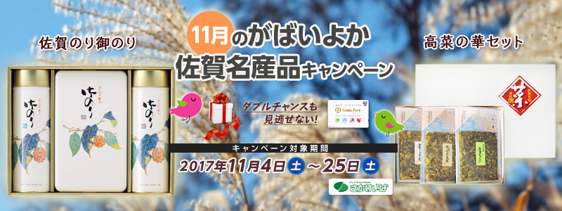 yꋣnz11̂΂悩ꖼYiLy[@2017N114 iyj`1125iyj@̂̂@؂̉؃Zbg@