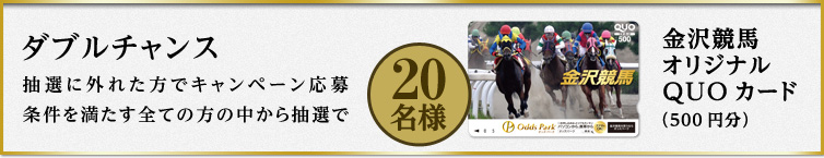 y_u`XzIɊOꂽŃLy[𖞂SĂ̒̕璊IŁw򋣔nIWiQUOJ[hi500~jx20l