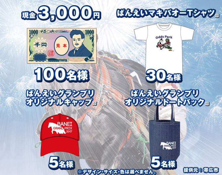 3,000~@100l@΂񂦂}LoI[TVc 30l@΂񂦂OvIWiLbv@5l@΂񂦂OvIWig[gobN@5l@񋟌FэLs