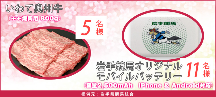 ĉBiēp 800gj5l 苣nIWioCobe[ ie2,500mAh@iPhone & AndroidΉj11l 񋟌F茧ng