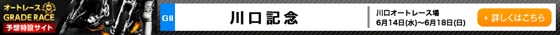 I[g[XO[h[X\z݃TCg@I[g[X@LOiGIIj@2017N614ij`618ij@ڂ͂