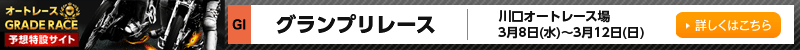 I[g[XGRADERACE\z݃TCg@I[g[X@iGIjOv[X@2017N38ij`312ij@ڂ͂