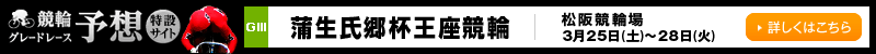 փO[h[X\z݃TCg@㋣֏@t(GIII)@2017N325iyj`328i΁j@ڂ͂