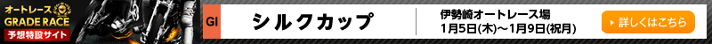 I[g[XGRADERACE\z݃TCg@ɐI[g[X@VNJbv@2017N15i؁j`19ijj@ڂ͂