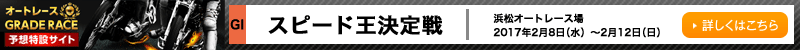 I[g[XO[h[X\z݃TCg@lI[g[X@Xs[hiGIj@2017N28ij`12ij@ڂ͂