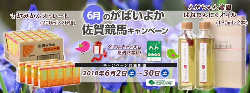 yꋣnz6̂΂悩ꋣnLy[@2018N62iyj`630iyj@݂Xg[g@i200ml~20j@_͂˂ɂɂIC@i190ml~2{j
