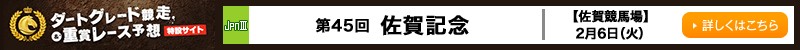 _[gO[hd܃[X\z݃TCg@45񍲉LO@ꋣn@26i΁j@ڂ͂