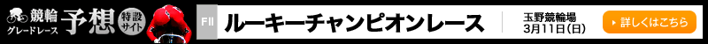 փO[h[X\z݃TCg@[L[`sI[X(FII)@2018N311ij@ڂ͂