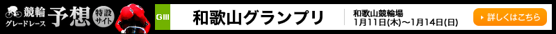 փO[h[X\z݃TCg a̎R֏ a̎ROviGIIIj2018N111i؁j`114ij ڂ͂