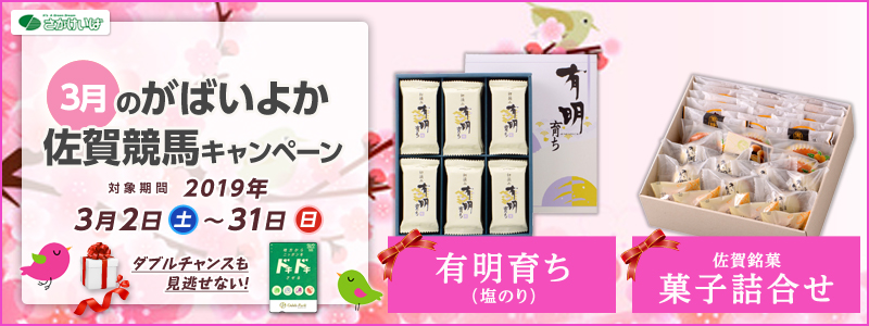 yꋣnz3̂΂悩ꋣnLy[@Ώۊԁ@2019N32iyj`331ij@L炿îj@ َql@