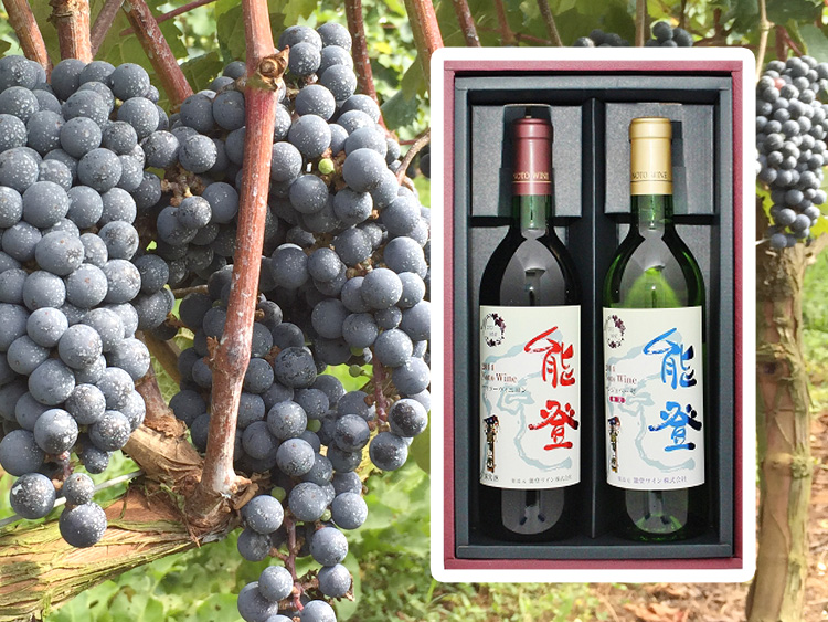 能登ワインセット