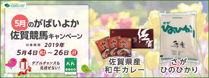 5̂΂悩ꋣnLy[@Ώۊԁ@2019N54ijyj`526ij@ꌧYaJ[@ Ђ̂Ђ@