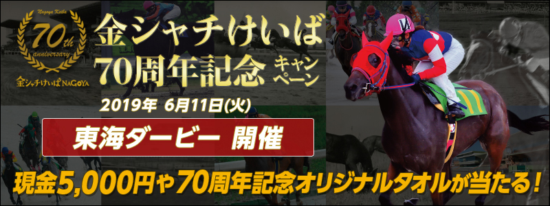 yÉnzV`70NLOLy[@Ώۓ2019N611i΁j@C_[r[JÁ@5,000~70NLOIWi^II