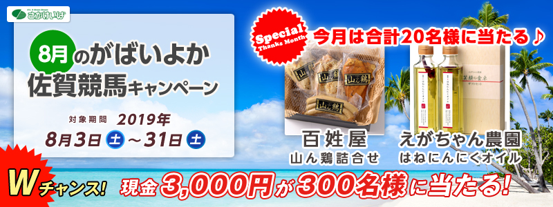 8̂΂悩ꋣnLy[@Ώۊԁ@2019N83iyj`831iyj@SR{l@_͂˂ɂɂIC@W`XI3,000~300lɓI