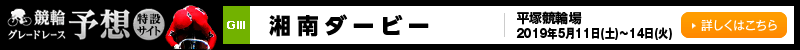 փO[h[X\z݃TCg@ˋ֏@Ó_[r[iGIIIj2019N511iyj`514i΁j@ڂ͂